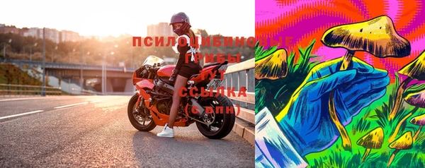 твердый Алзамай